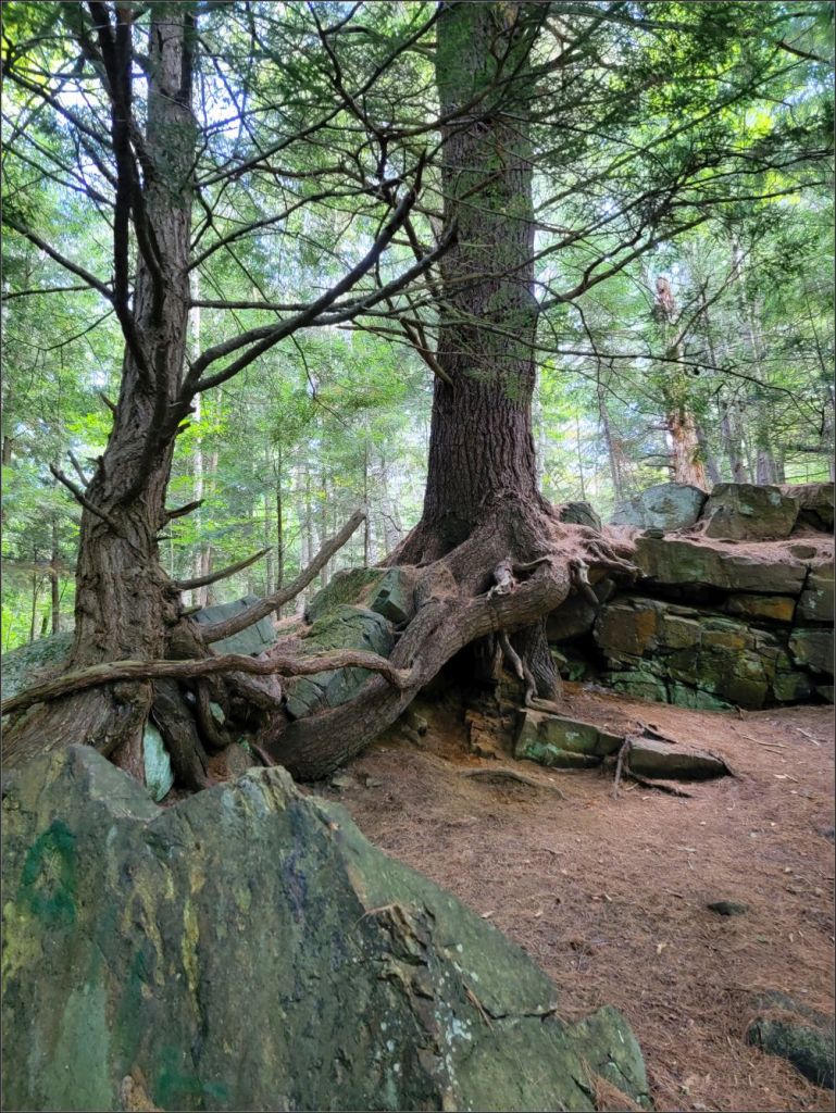 Baker Mountain Trail