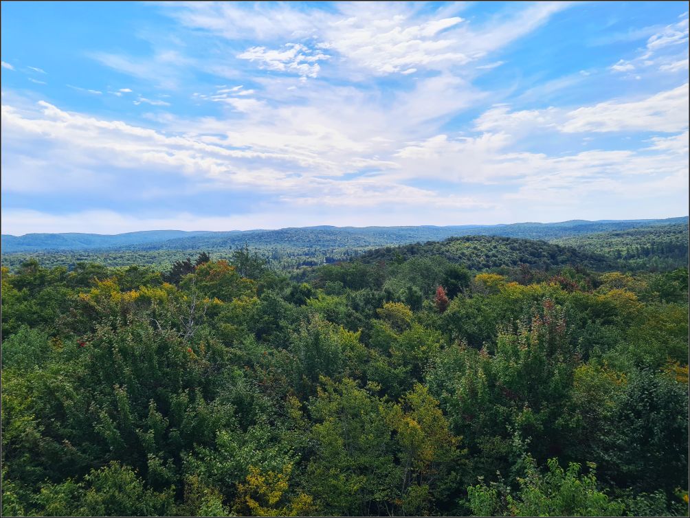 view from Cathedral Rock Fire Tower
