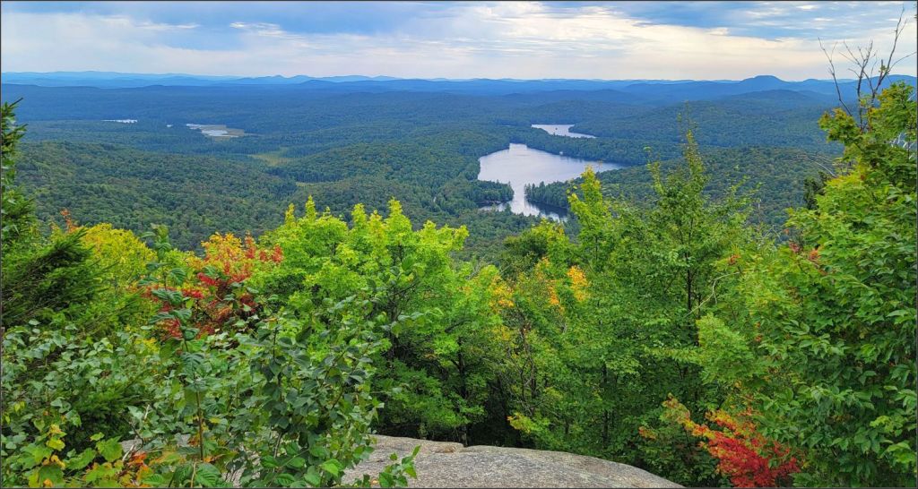 View from Mount Arab Fire Tower trail