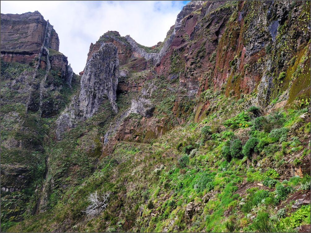 Vereda do Areeiro trail