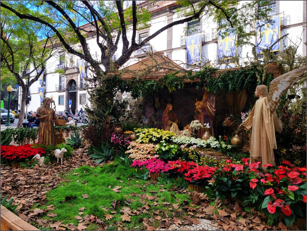 Native scene, Funchal