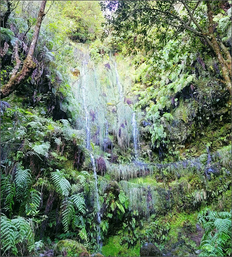 Waterfalls along Levada do Caldeirao Verde