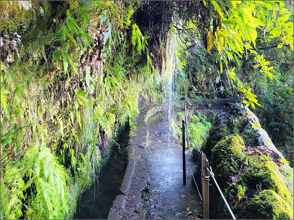 Waterfalls, Levada do Caldeirao Verde