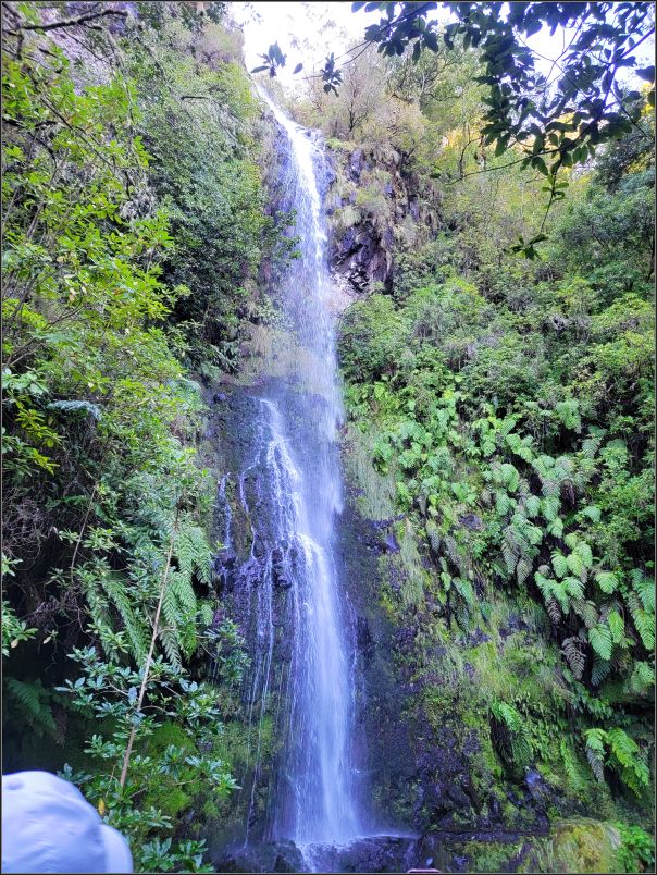Waterfalls, Levada do Caldeirao Verde