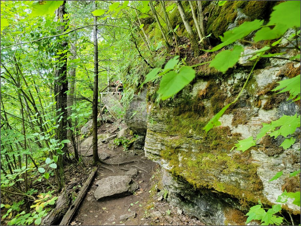 Cup and Saucer trail