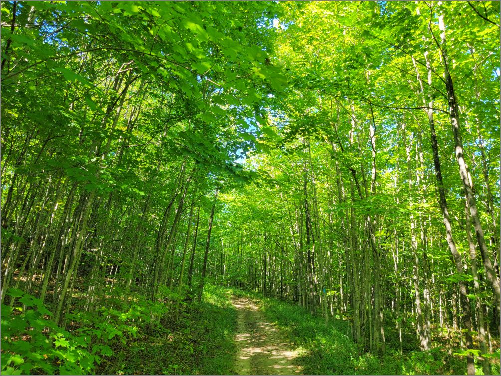 Ilse Hanel Side trail