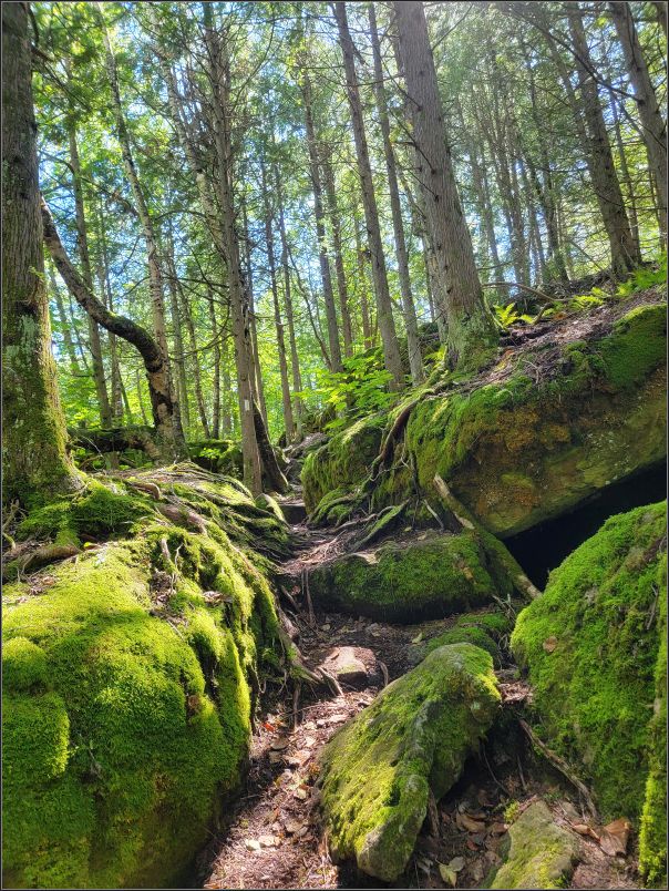 Lions Head rugged trail