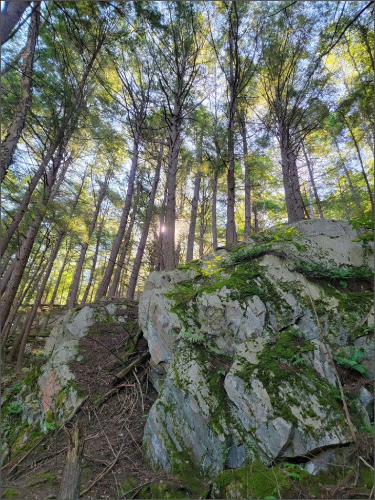 Heaven’s Gate trail