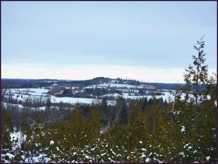 Harold Town Conservation Area