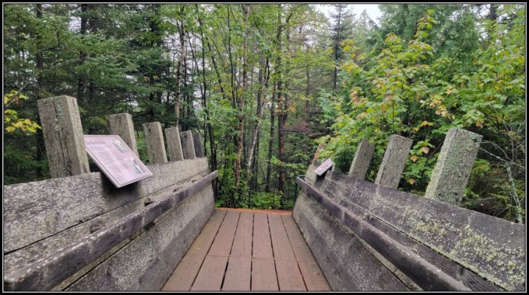 Wooden slide that would carry logs around the crest of High Falls