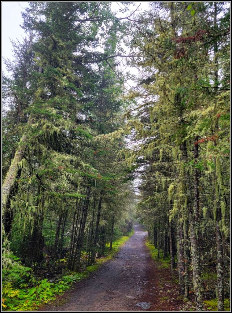 Sleeping Giant Trail