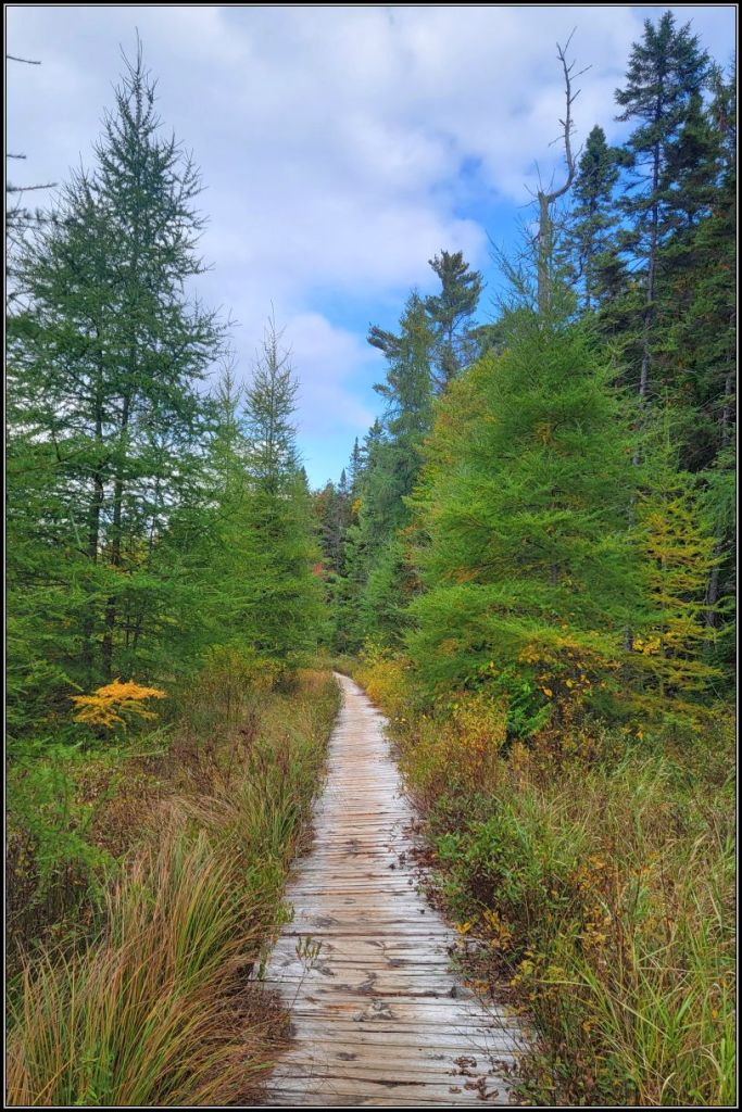 Mizzy lake trail boardwalk