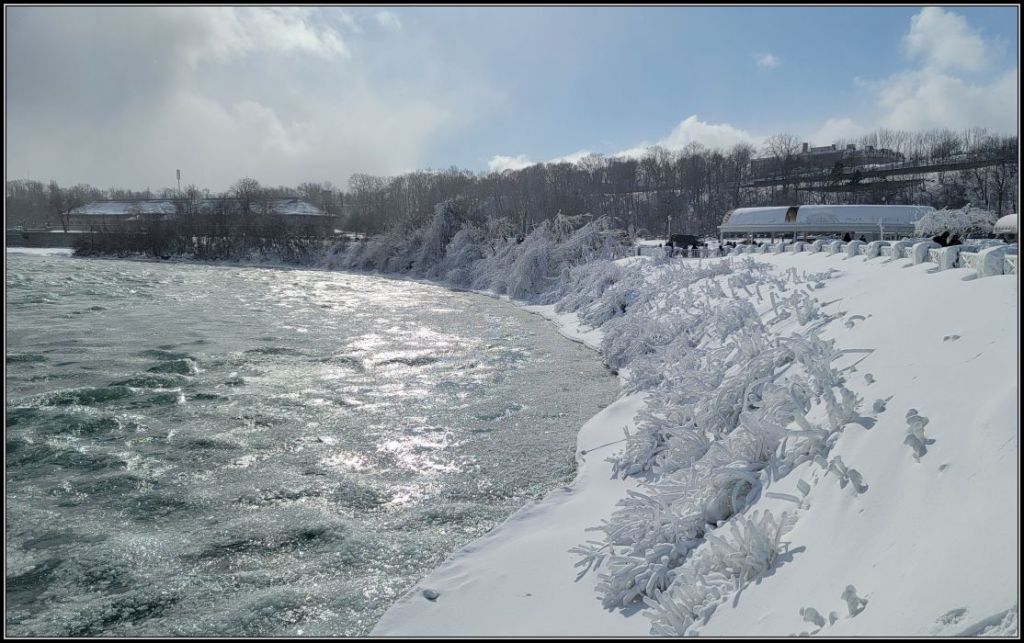 Niagara River, frozen trees
