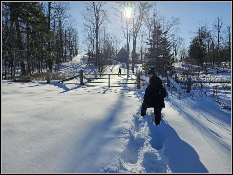 Walking in the snow