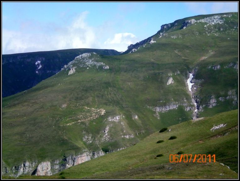 Grazing sheep on the Bucegi slopes