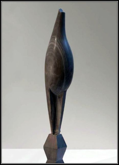 Maïastra, Brancusi