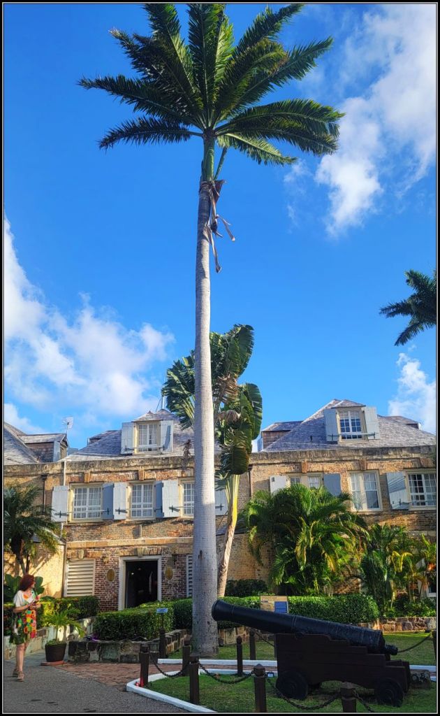The Royal Palm, Nelson's Dockyard