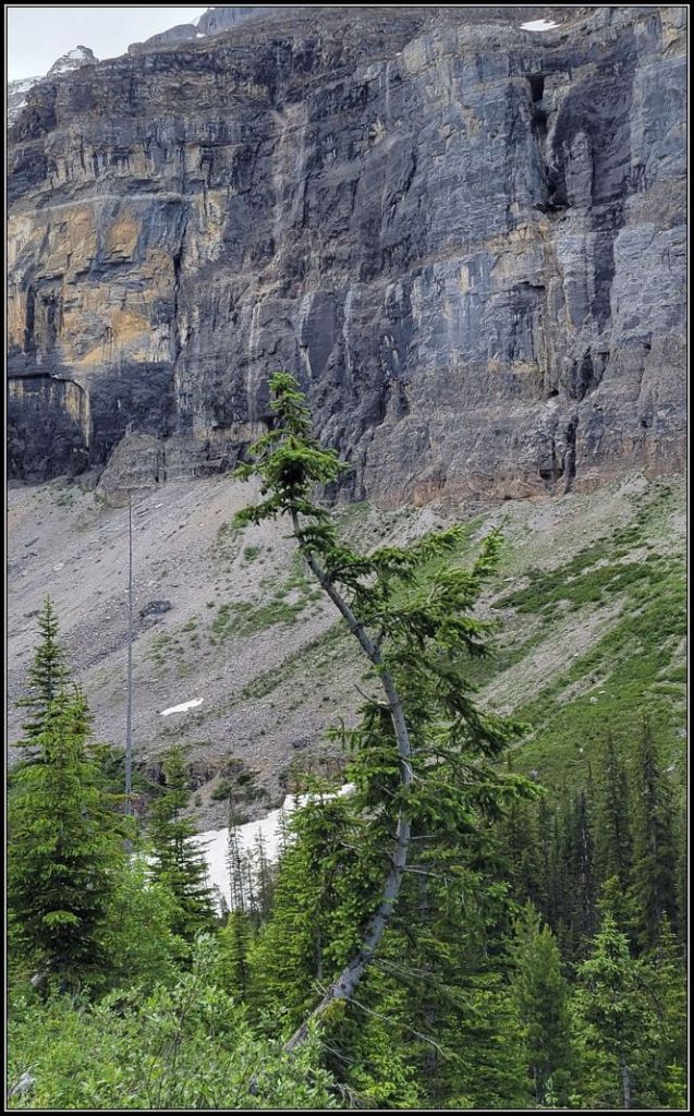 Power of nature Stanley mountain