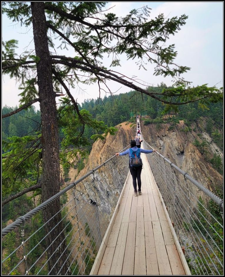 The Golden Skybridge